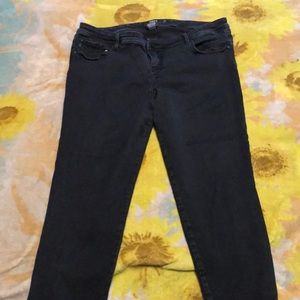 Torrid Jeans